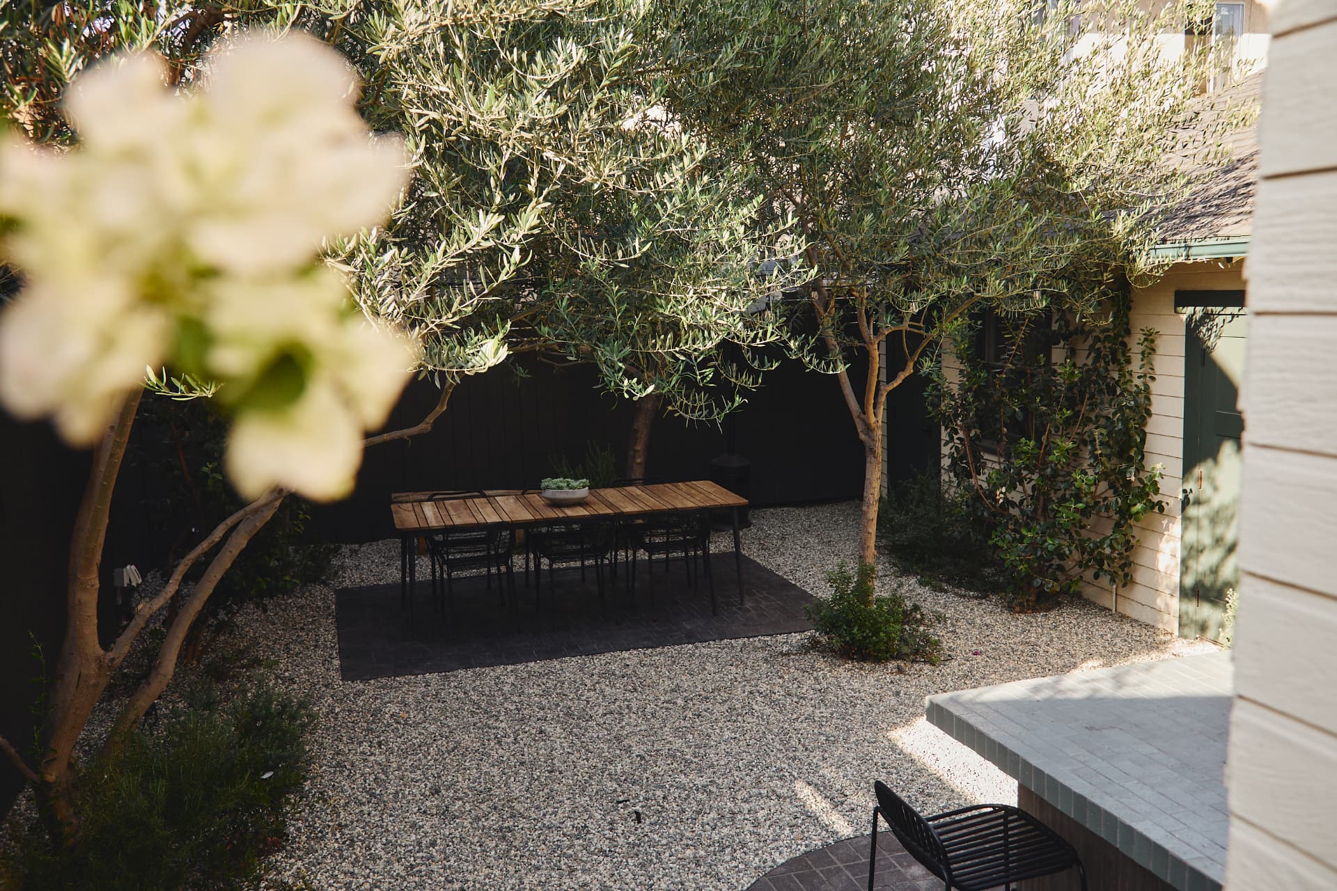 A peaceful gravel courtyard with olive trees and a long garden table